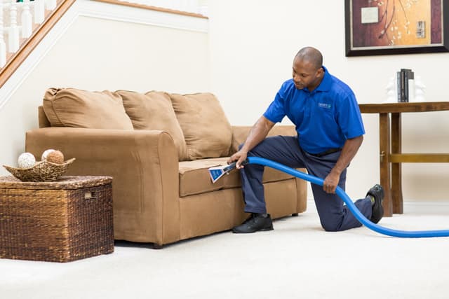 Upholstery Cleaning
